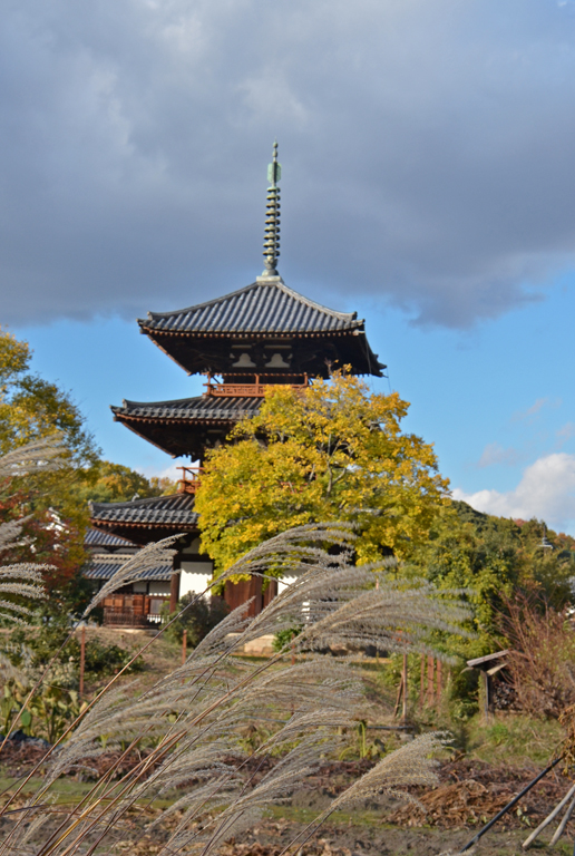 斑鳩の里 法輪寺の秋 - 通販 - gofukuyasan.com