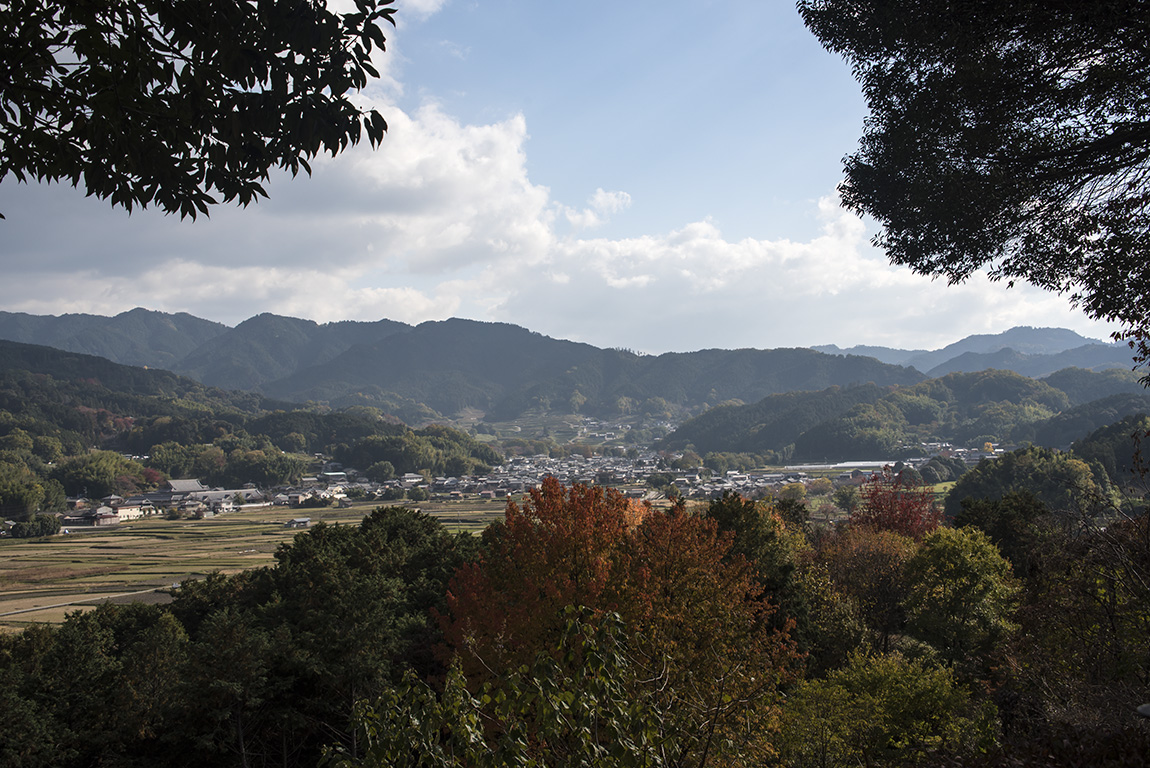 最高 甘樫の丘、二上山遠望